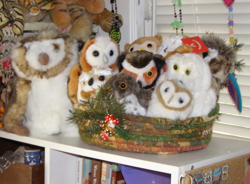 Owl nest basket Parliament in session